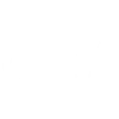 WOK